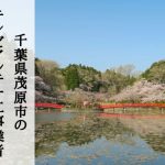 茂原市でおすすめのアンテナ工事業者5社と取り付け費用・相場