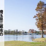 三郷市でおすすめのアンテナ工事業者7社と取り付け費用・相場